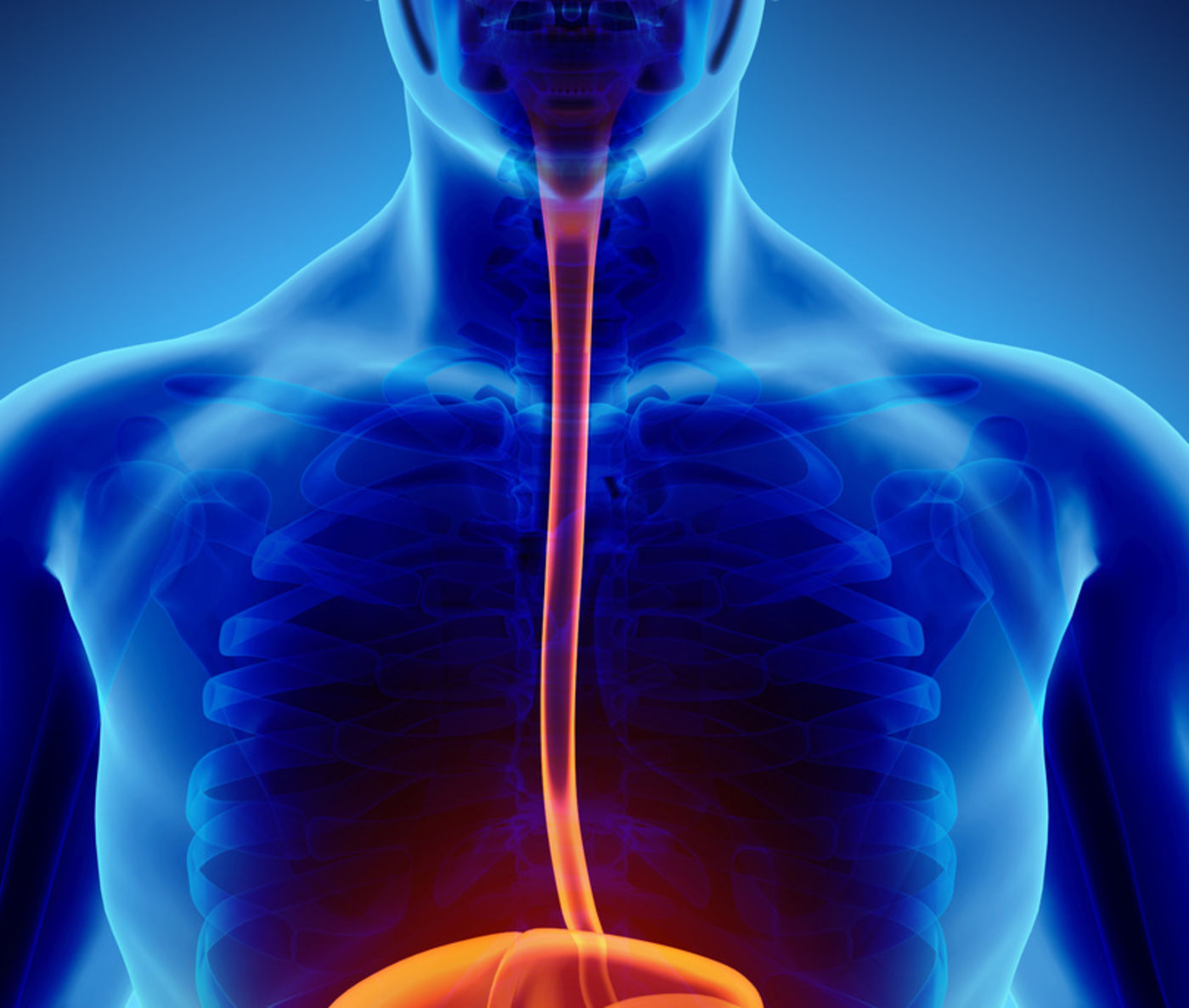 Ösophagus Stenosen Ordensklinikum Linz