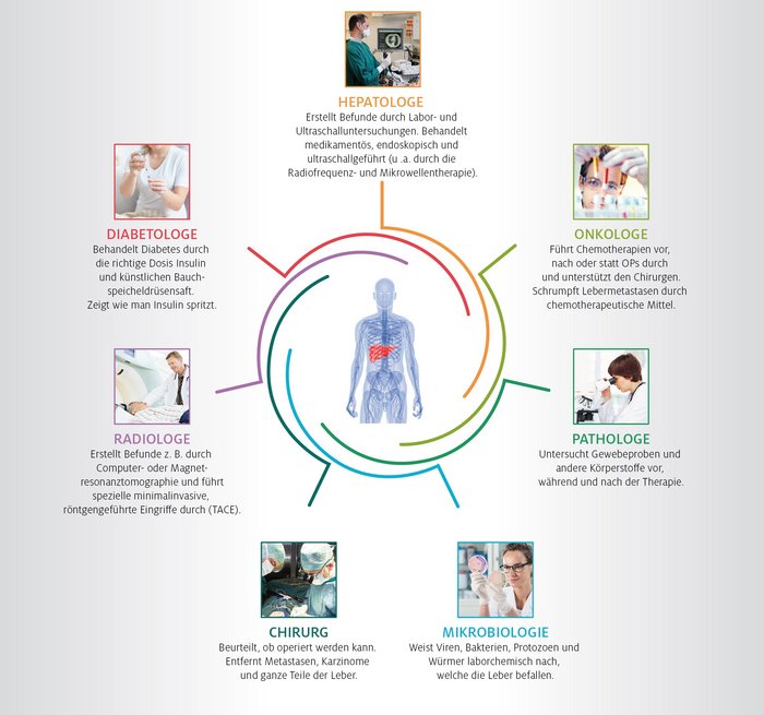 Infografik Leberzentrum