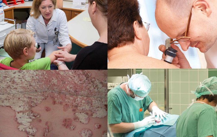 Sujet Curriculum Derma