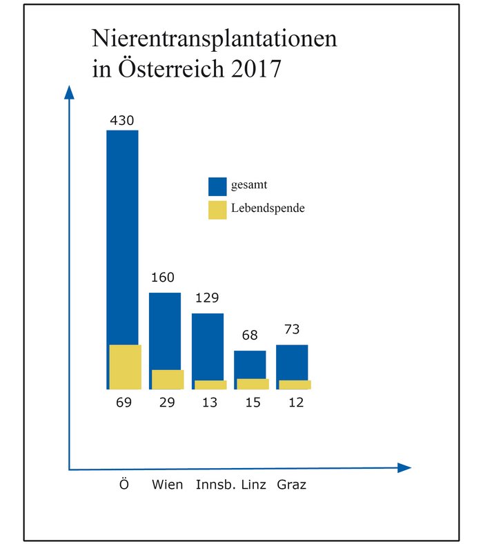 Nierentransplantationen in Österreich 2017