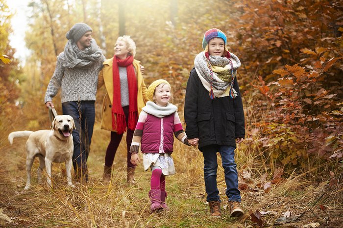 Familie geht spazieren im Wald