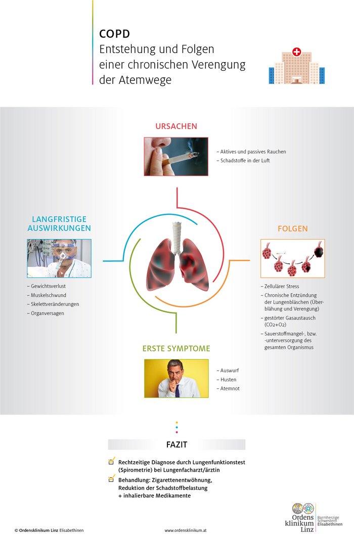Infografik: Ursachen und Folgen einer COPD