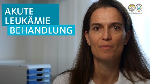 Akute Leukämie Behandlung