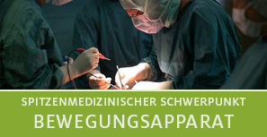 Schwerpunkt Bewegungsapparat