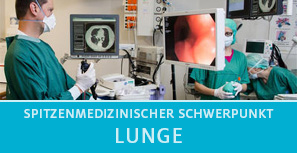 Schwerpunkt Lunge