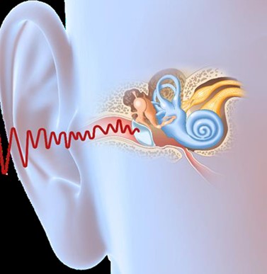 TINNITUS – Was hilft